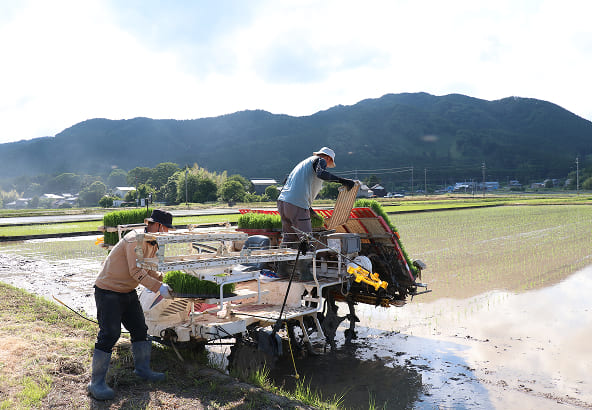 スマート農業の推進